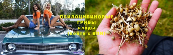 бошки Михайлов