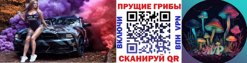 Псилоцибиновые грибы Psilocybine cubensis  Апрелевка 